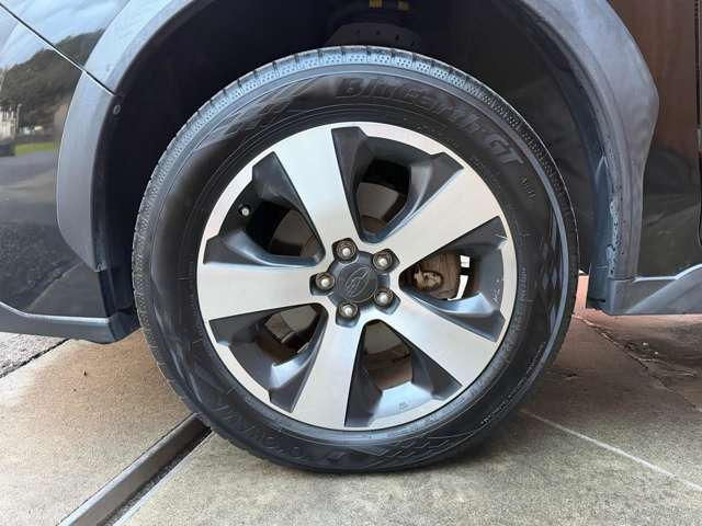 ����17�C���`AW(�O�ト�R�n�}225/55R17)������