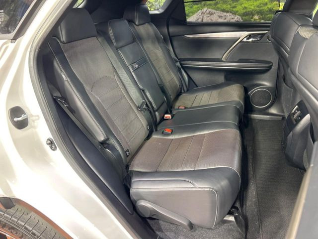 �㕔���Ȃ��C�ɂȂ�悤�ȃL�Y�E�����ւ��蓙�A�傫�ȃ_���[�W�͂Ȃ��A�ǍD�ȏ�Ԃł��B