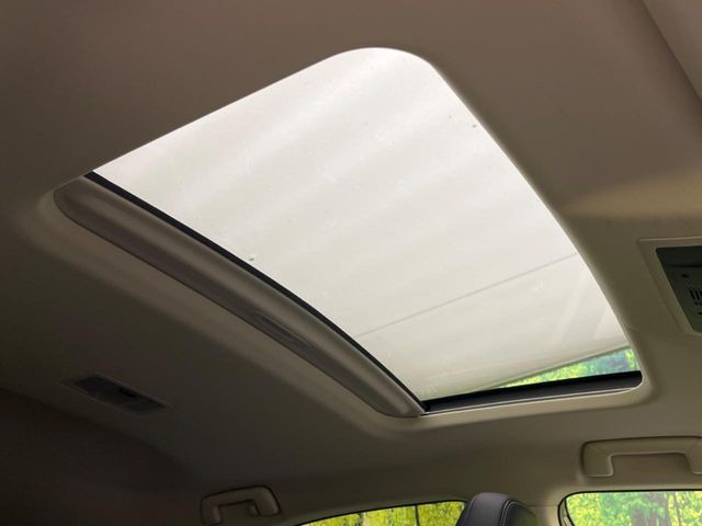 �y�T�����[�t�z�J���������Ղ�̊󏭑����A�T�����[�t����������Ă��܂�!�ԓ��ɖ�����������ꂽ��i�F���y���ވȊO�ɂ��A�ԓ��̋�C���ȒP�Ɋ��C�ł��ĉ��K�ł�!