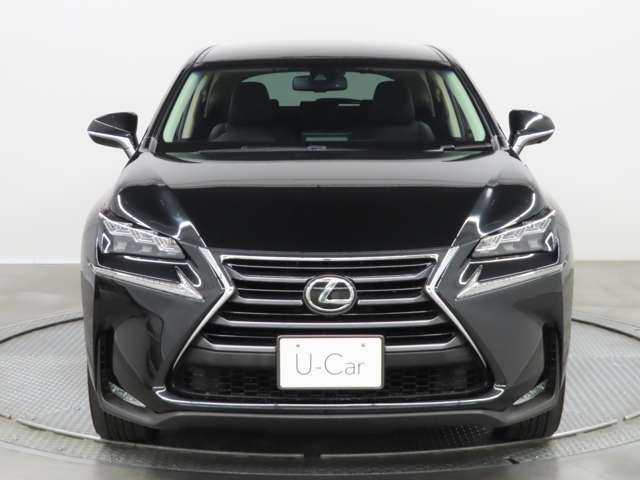 NX200t Iパッケージ