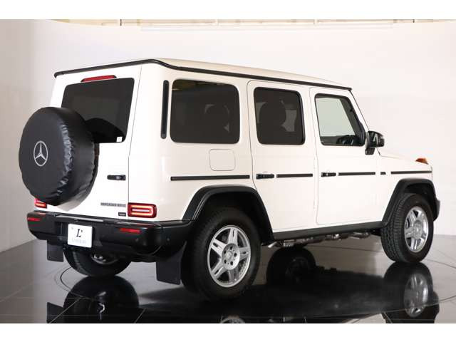 �w�ʃ^�C���J�o�[�Ȃǌ��s���f���Ƃ͎v���Ȃ��X�^�C����G�N���X�t�@���ɂƂ��ď��L�~�����߂Ă���܂��B