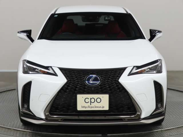 UX250h Fスポーツ