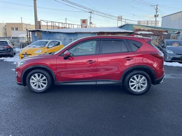 ���e��I�[�g���[�������������܂�