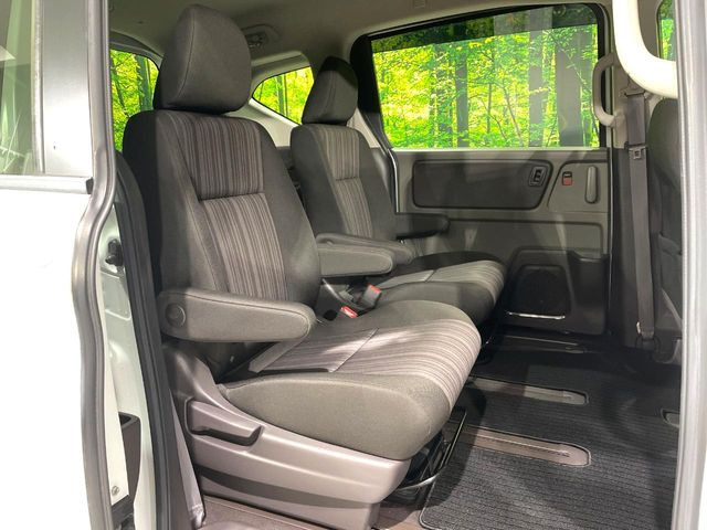 �㕔���Ȃ��C�ɂȂ�悤�ȃL�Y�E�����ւ��蓙�A�傫�ȃ_���[�W�͂Ȃ��A�ǍD�ȏ�Ԃł��B