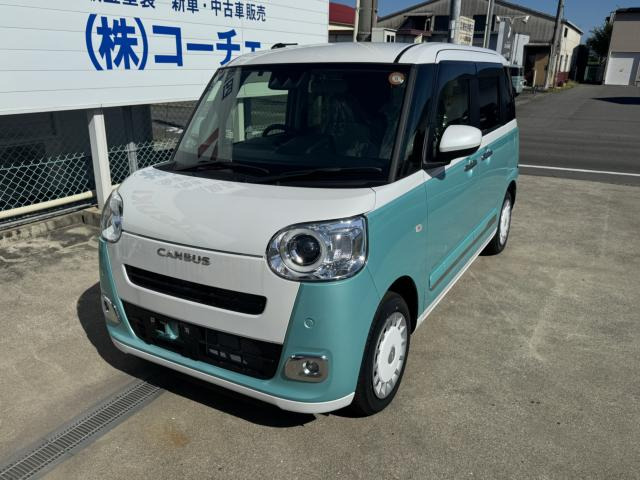 ムーヴキャンバスストライプス G