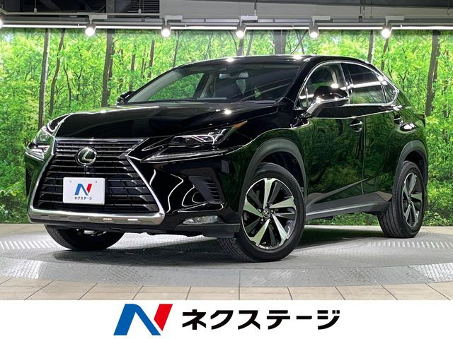 レクサス NX 2014年モデル NX200t I packageの中古車一覧｜中古車検索