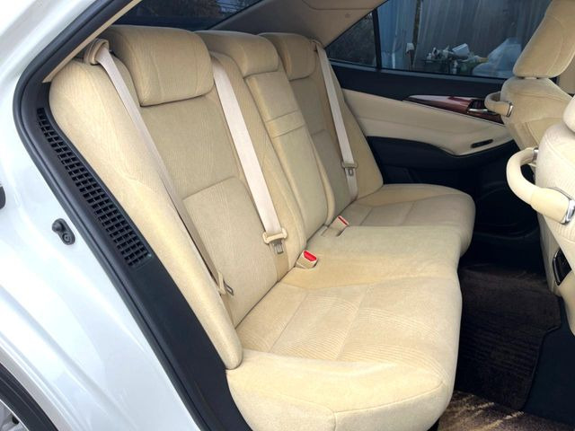 �㕔���Ȃ��C�ɂȂ�悤�ȃL�Y�E�����ւ��蓙�A�傫�ȃ_���[�W�͂Ȃ��A�ǍD�ȏ�Ԃł��B