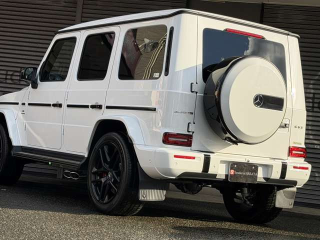 AMG���C�h�R���g���[���E�X�|�[�c�T�X�y���V�����E�K���X�X���C�f�B���O���[�t(�d���`���g&�X���C�f�B���O)