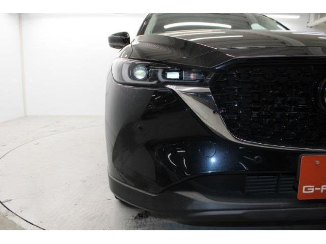 ���Ǝҗl�ւ̔̔��͂��f�肳���Ă��������܂��B �Ԍ������ԗ��̏ꍇ�́A�Ԍ����擾�������x�������z�ŕ\�����Ă���܂��B