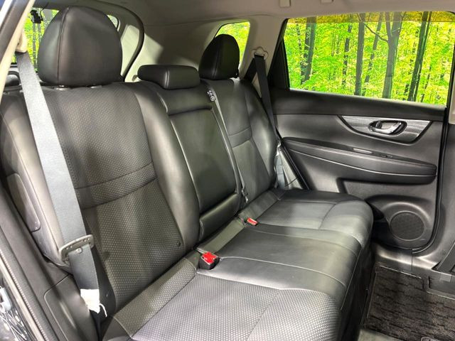 �㕔���Ȃ��C�ɂȂ�悤�ȃL�Y�E�����ւ��蓙�A�傫�ȃ_���[�W�͂Ȃ��A�ǍD�ȏ�Ԃł��B