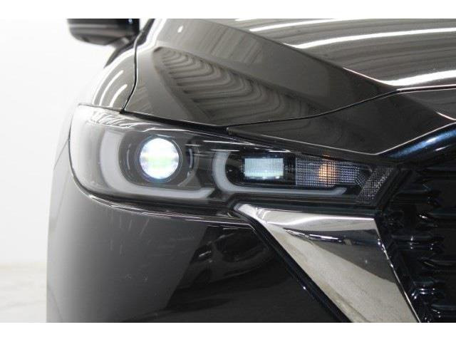 ���Ǝҗl�ւ̔̔��͂��f�肳���Ă��������܂��B �Ԍ������ԗ��̏ꍇ�́A�Ԍ����擾�������x�������z�ŕ\�����Ă���܂��B