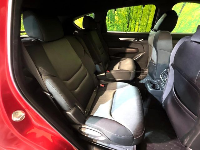 �㕔���Ȃ��C�ɂȂ�悤�ȃL�Y�E�����ւ��蓙�A�傫�ȃ_���[�W�͂Ȃ��A�ǍD�ȏ�Ԃł��B