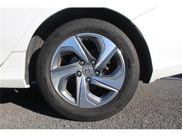 ���Ǝҗl�ւ̔̔��͂��f�肳���Ă��������܂��B �Ԍ������ԗ��̏ꍇ�́A�Ԍ����擾�������x�������z�ŕ\�����Ă���܂��B