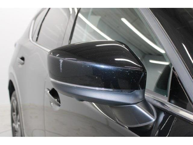 ���Ǝҗl�ւ̔̔��͂��f�肳���Ă��������܂��B �Ԍ������ԗ��̏ꍇ�́A�Ԍ����擾�������x�������z�ŕ\�����Ă���܂��B