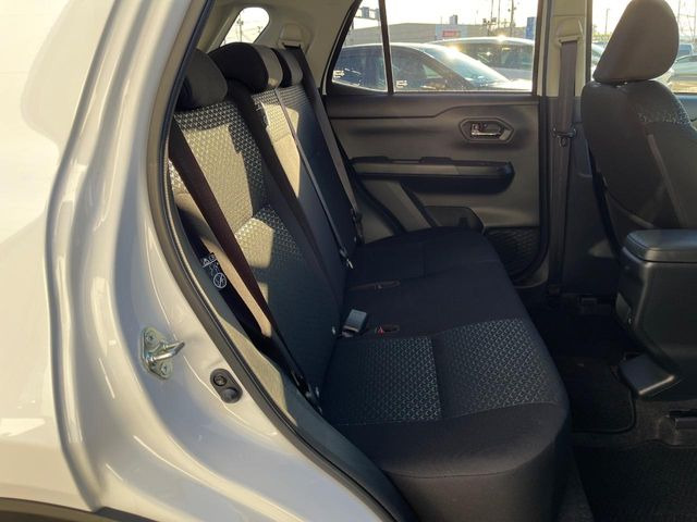 �㕔���Ȃ��C�ɂȂ�悤�ȃL�Y�E�����ւ��蓙�A�傫�ȃ_���[�W�͂Ȃ��A�ǍD�ȏ�Ԃł��B