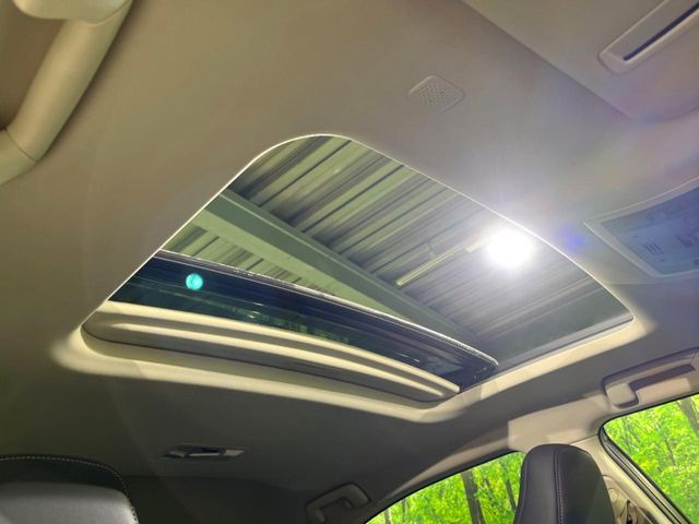 �y�T�����[�t�z�J���������Ղ�̊󏭑����A�T�����[�t����������Ă��܂�!�ԓ��ɖ�����������ꂽ��i�F���y���ވȊO�ɂ��A�ԓ��̋�C���ȒP�Ɋ��C�ł��ĉ��K�ł�!