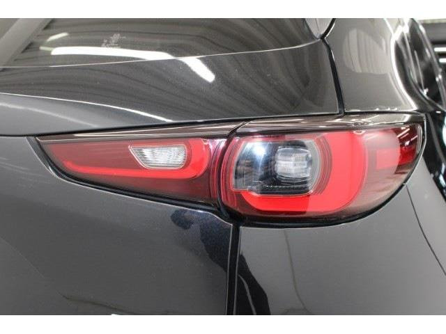 ���Ǝҗl�ւ̔̔��͂��f�肳���Ă��������܂��B �Ԍ������ԗ��̏ꍇ�́A�Ԍ����擾�������x�������z�ŕ\�����Ă���܂��B