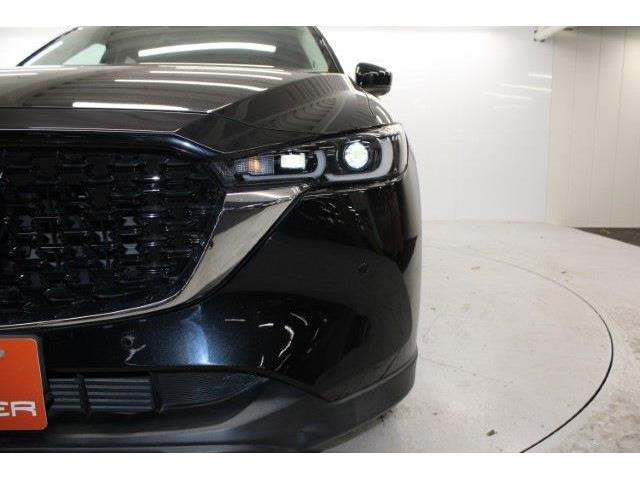 ���Ǝҗl�ւ̔̔��͂��f�肳���Ă��������܂��B �Ԍ������ԗ��̏ꍇ�́A�Ԍ����擾�������x�������z�ŕ\�����Ă���܂��B