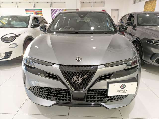 ジュニアイブリダ プレミアム