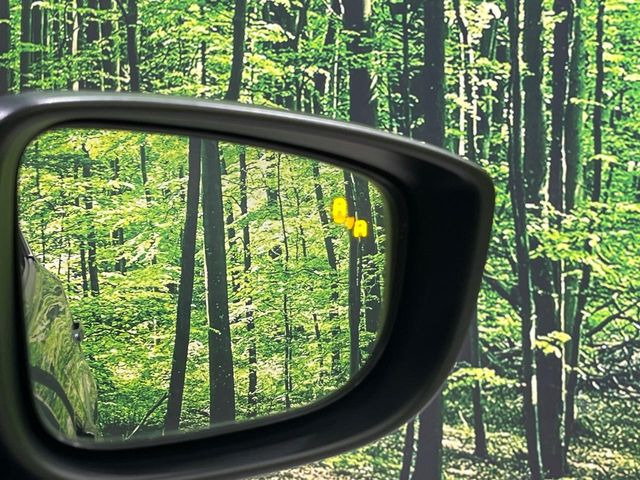 �y�u���C���h�X�|�b�g���j�^�����O�z���s���A�h�A�~���[�̎��p�ɂȂ�₷���ӏ��Ɍ㑱�Ԃ��ڋ߂���ƃT�C�h�~���[�t�߂Ɍx����\���A�h���C�o�[�ɒ��ӊ��N�����Ă���܂��B