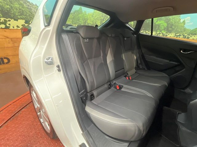 �㕔���Ȃ��C�ɂȂ�悤�ȃL�Y�E�����ւ��蓙�A�傫�ȃ_���[�W�͂Ȃ��A�ǍD�ȏ�Ԃł��B