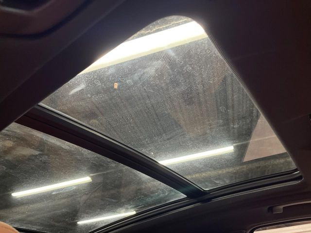 ���p�m���}�~�b�N�K���X���[�t:�唗�͂̃p�m���}���[�t�́A�㕔���Ȃɂ܂ő����Ă���A�J���I�ȋ�Ԃ����y���݂��������܂��B