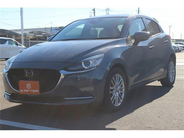 ���Ǝҗl�ւ̔̔��͂��f�肳���Ă��������܂��B �Ԍ������ԗ��̏ꍇ�́A�Ԍ����擾�������x�������z�ŕ\�����Ă���܂��B