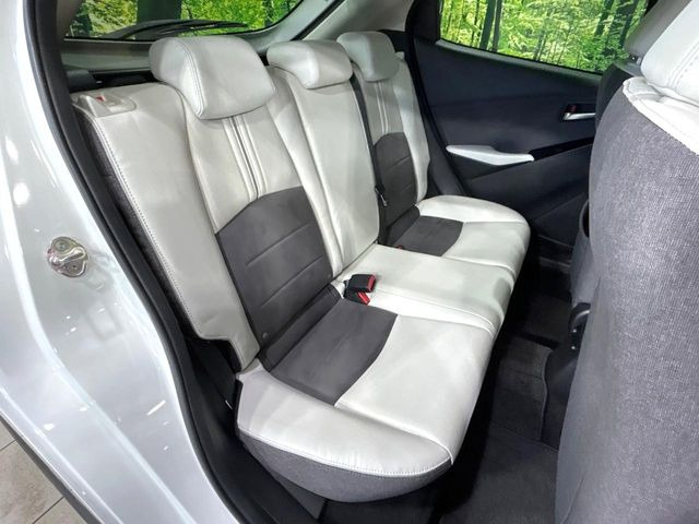 �㕔���Ȃ��C�ɂȂ�悤�ȃL�Y�E�����ւ��蓙�A�傫�ȃ_���[�W�͂Ȃ��A�ǍD�ȏ�Ԃł��B