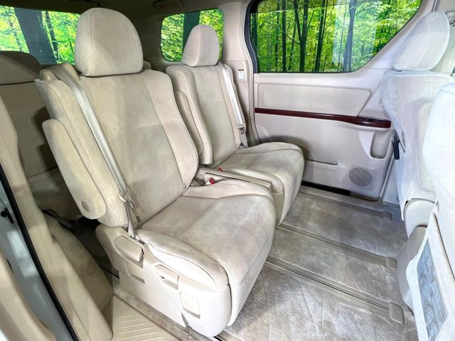 �㕔���Ȃ��C�ɂȂ�悤�ȃL�Y�E�����ւ��蓙�A�傫�ȃ_���[�W�͂Ȃ��A�ǍD�ȏ�Ԃł��B