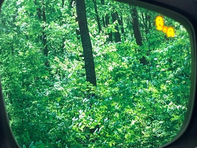 �y�u���C���h�X�|�b�g���j�^�����O�z���s���A�h�A�~���[�̎��p�ɂȂ�₷���ӏ��Ɍ㑱�Ԃ��ڋ߂���ƃT�C�h�~���[�t�߂Ɍx����\���A�h���C�o�[�ɒ��ӊ��N�����Ă���܂��B