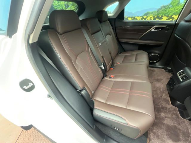 �㕔���Ȃ��C�ɂȂ�悤�ȃL�Y�E�����ւ��蓙�A�傫�ȃ_���[�W�͂Ȃ��A�ǍD�ȏ�Ԃł��B