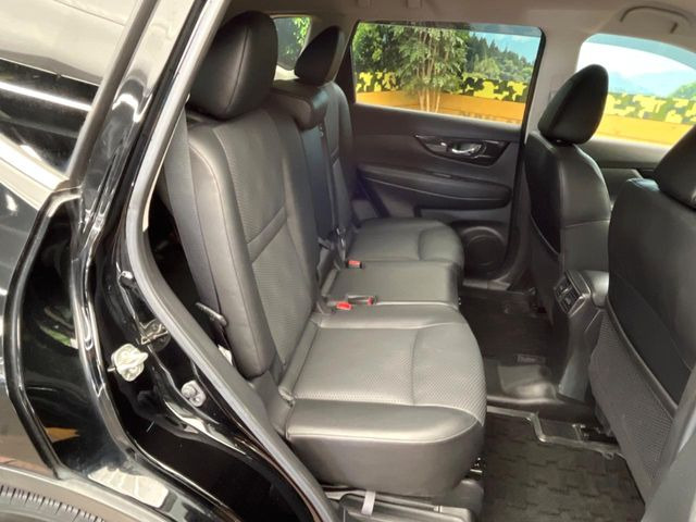 �㕔���Ȃ��C�ɂȂ�悤�ȃL�Y�E�����ւ��蓙�A�傫�ȃ_���[�W�͂Ȃ��A�ǍD�ȏ�Ԃł��B