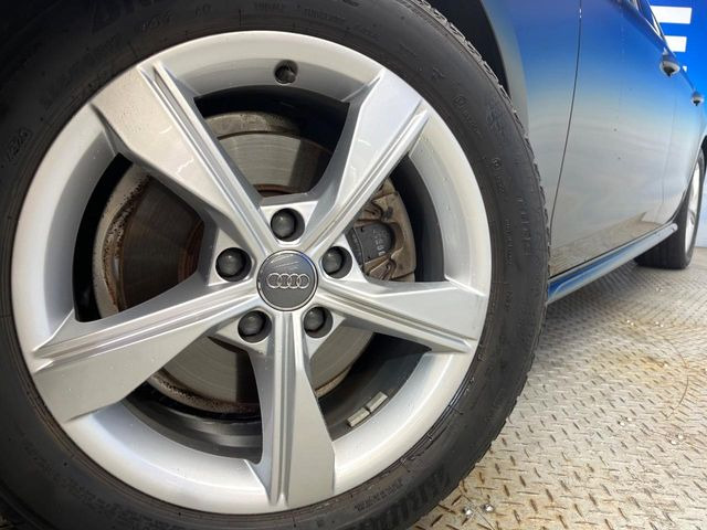 ������17�C���`�A���~�z�C�[��:�A���ԂȂ�ł͂̑�z����������x����z�C�[���Ƒ����ł�!���{�Ԃ̑���Ɋ���Ă�����ɂ����Б̊����Ē��������قǁA�������x���ł܂Ƃ܂��Ă��܂�!