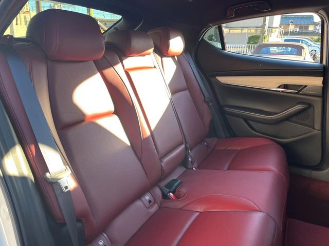 �㕔���Ȃ��C�ɂȂ�悤�ȃL�Y�E�����ւ��蓙�A�傫�ȃ_���[�W�͂Ȃ��A�ǍD�ȏ�Ԃł��B