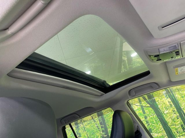 �y�T�����[�t�z�J���������Ղ�̊󏭑����A�T�����[�t����������Ă��܂�!�ԓ��ɖ�����������ꂽ��i�F���y���ވȊO�ɂ��A�ԓ��̋�C���ȒP�Ɋ��C�ł��ĉ��K�ł�!