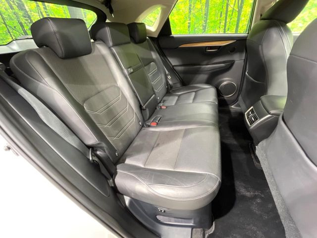 �㕔���Ȃ��C�ɂȂ�悤�ȃL�Y�E�����ւ��蓙�A�傫�ȃ_���[�W�͂Ȃ��A�ǍD�ȏ�Ԃł��B