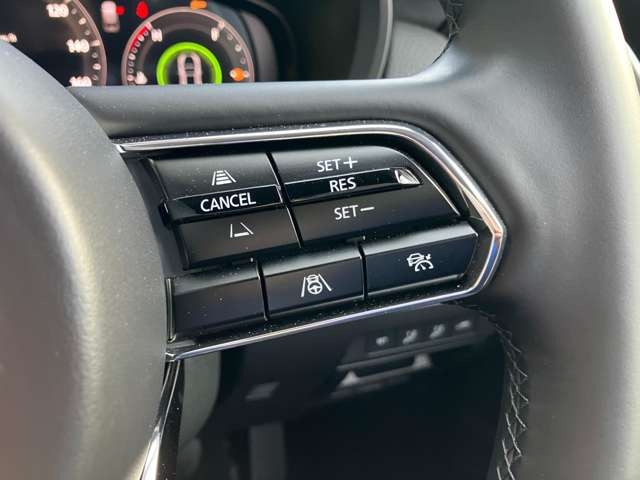 �����[�_�[�N���[�Y�R���g��-��!�A�N�Z������Ȃ��ɃX�e�A�����O�̃X�C�b�`����݂̂ō������H�Ȃǂł̒葬���s&�Ǐ]���s�𐧌䂵�܂���