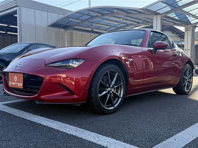 ���Ǝҗl�ւ̔̔��͂��f�肳���Ă��������܂��B �Ԍ������ԗ��̏ꍇ�́A�Ԍ����擾�������x�������z�ŕ\�����Ă���܂��B