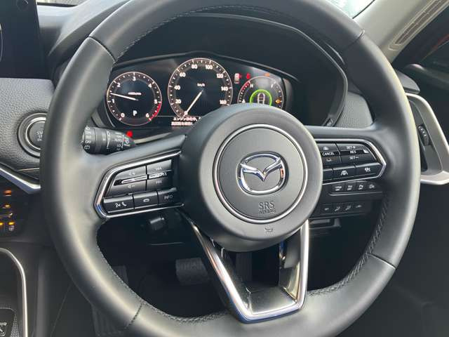 ���{�v���X�e�A�����O�������Ƃ�Ǝ�ɓ���ޖ{�v�Ȃ�ł͂̊��G!�m���ȑ��슴!