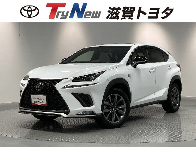 NX300 Fスポーツ 4WD