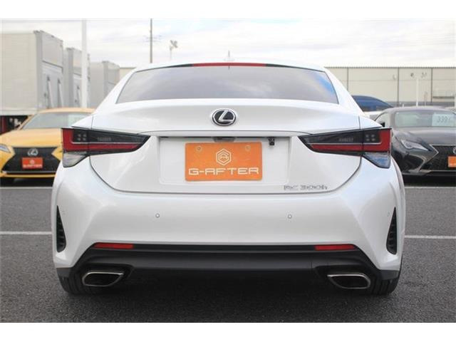 ���Ǝҗl�ւ̔̔��͂��f�肳���Ă��������܂��B �Ԍ������ԗ��̏ꍇ�́A�Ԍ����擾�������x�������z�ŕ\�����Ă���܂��B