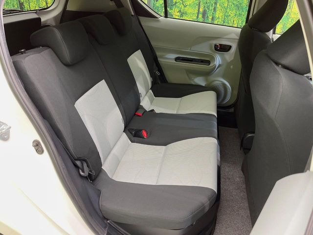 �㕔���Ȃ��C�ɂȂ�悤�ȃL�Y�E�����ւ��蓙�A�傫�ȃ_���[�W�͂Ȃ��A�ǍD�ȏ�Ԃł��B