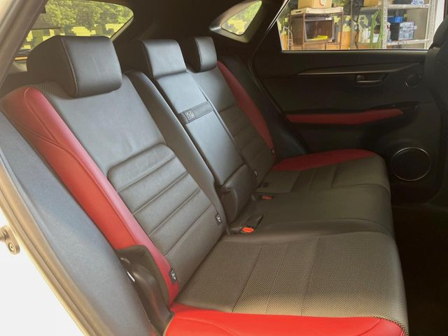 �㕔���Ȃ��C�ɂȂ�悤�ȃL�Y�E�����ւ��蓙�A�傫�ȃ_���[�W�͂Ȃ��A�ǍD�ȏ�Ԃł��B