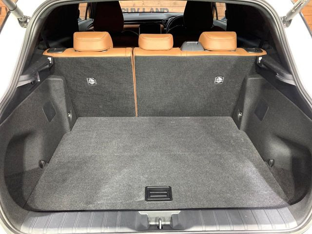 �㕔���Ȃ��C�ɂȂ�悤�ȃL�Y�E�����ւ��蓙�A�傫�ȃ_���[�W�͂Ȃ��A�ǍD�ȏ�Ԃł��B