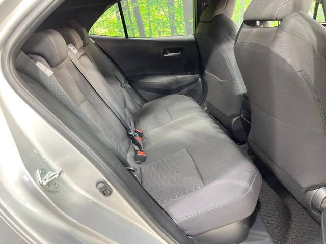 �㕔���Ȃ��C�ɂȂ�悤�ȃL�Y�E�����ւ��蓙�A�傫�ȃ_���[�W�͂Ȃ��A�ǍD�ȏ�Ԃł��B