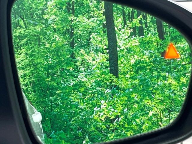 �y������p���m�z���s���A�h�A�~���[�̎��p�ɂȂ�₷���ӏ��Ɍ㑱�Ԃ��ڋ߂���ƃT�C�h�~���[�t�߂Ɍx����\���A�h���C�o�[�ɒ��ӊ��N�����Ă���܂��B