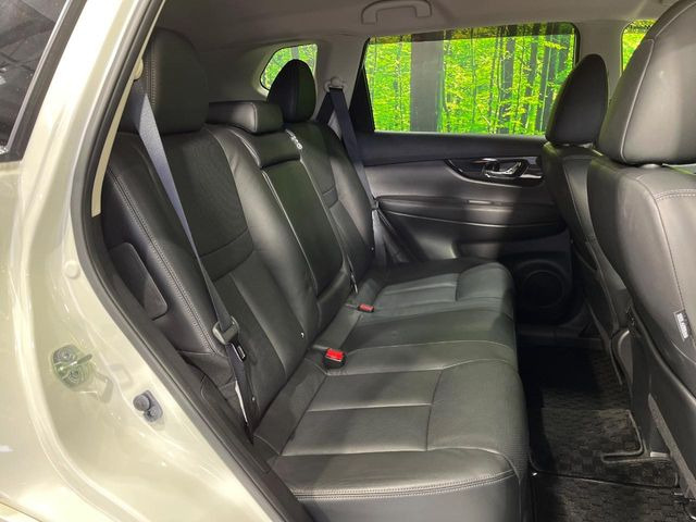 �㕔���Ȃ��C�ɂȂ�悤�ȃL�Y�E�����ւ��蓙�A�傫�ȃ_���[�W�͂Ȃ��A�ǍD�ȏ�Ԃł��B