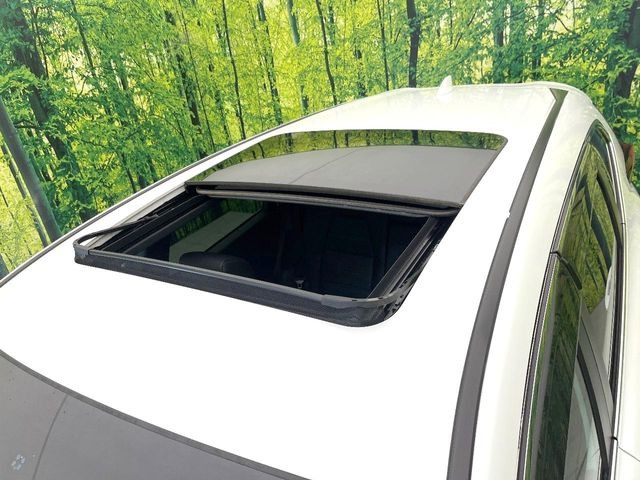 �y�T�����[�t�z�J���������Ղ�̊󏭑����A�T�����[�t����������Ă��܂�!�ԓ��ɖ�����������ꂽ��i�F���y���ވȊO�ɂ��A�ԓ��̋�C���ȒP�Ɋ��C�ł��ĉ��K�ł�!