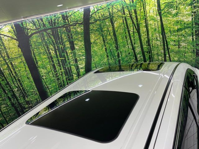 �y�T�����[�t�z�J���������Ղ�̊󏭑����A�T�����[�t����������Ă��܂�!�ԓ��ɖ�����������ꂽ��i�F���y���ވȊO�ɂ��A�ԓ��̋�C���ȒP�Ɋ��C�ł��ĉ��K�ł�!