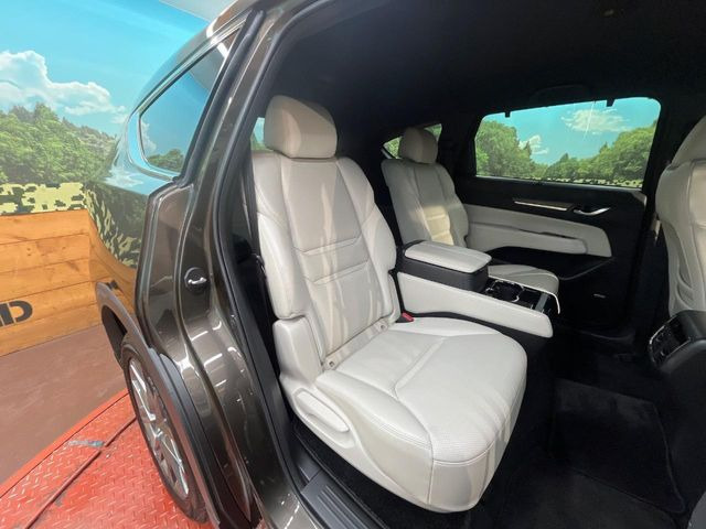 �㕔���Ȃ��C�ɂȂ�悤�ȃL�Y�E�����ւ��蓙�A�傫�ȃ_���[�W�͂Ȃ��A�ǍD�ȏ�Ԃł��B